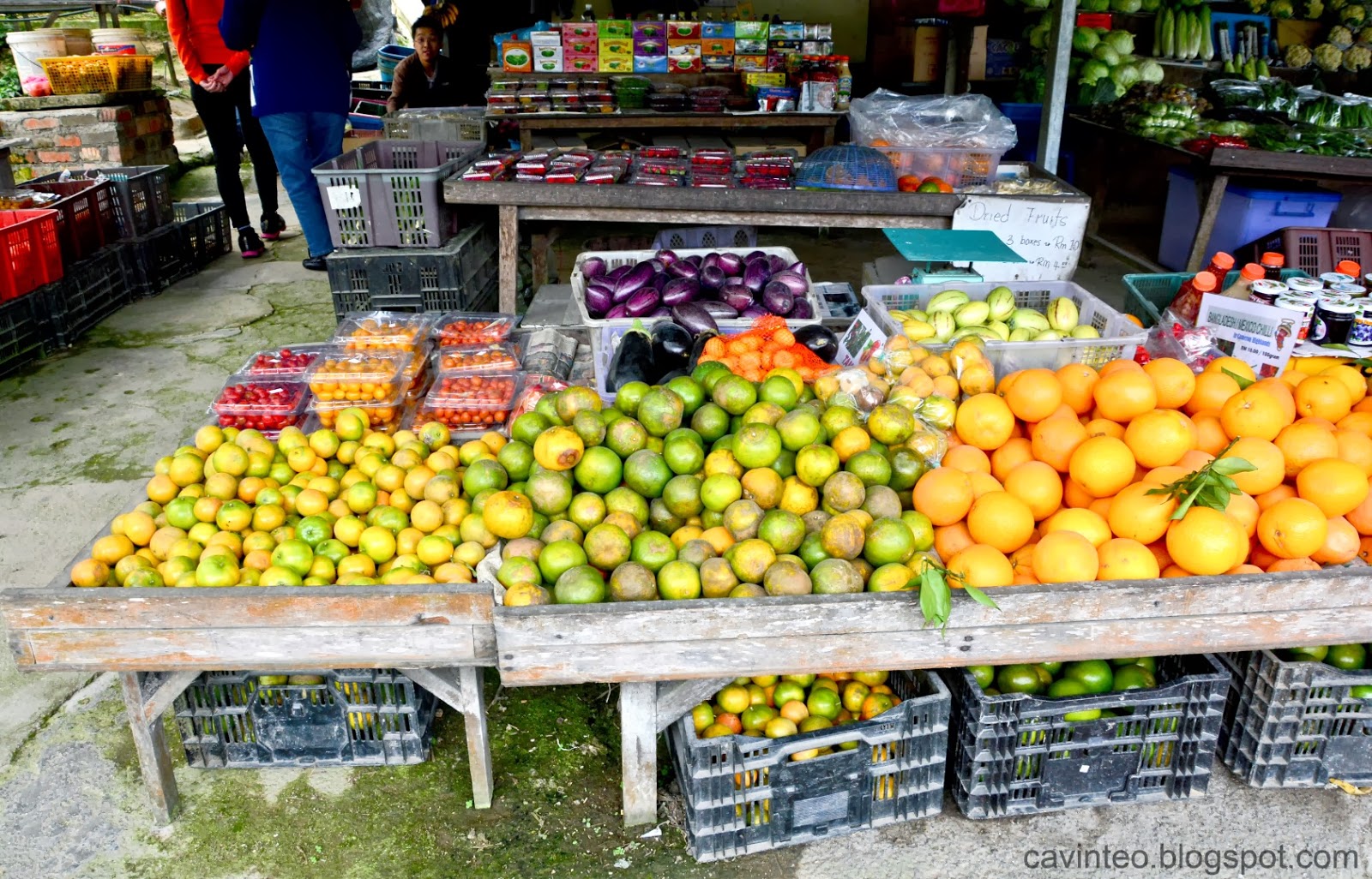 Entree Kibbles Agro Delight Tour Part 1 [Vegetable, Watercress